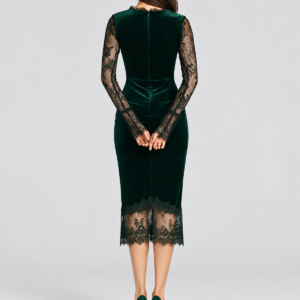 PE2601011 velvet and lace midi dress: 02-model-back
